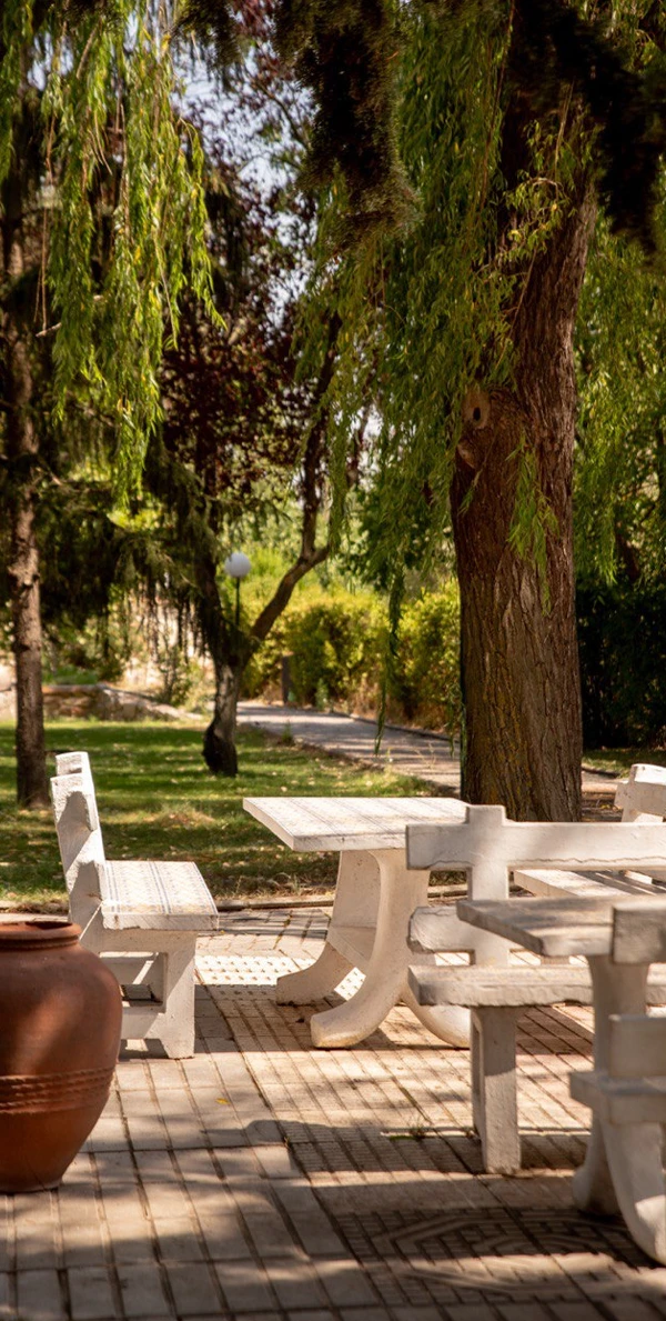 Servicios de las residencias para mayores en Salamanca