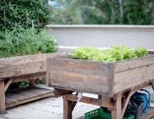 residencia-mayores-leon 46