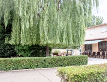 residencia-mayores-leon 67